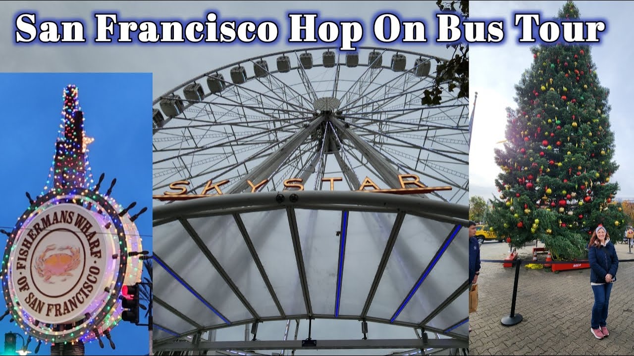 San Francisco, Hop On Hop Off Bus, California Coastal Tour | Alaskan Bears Vlogs