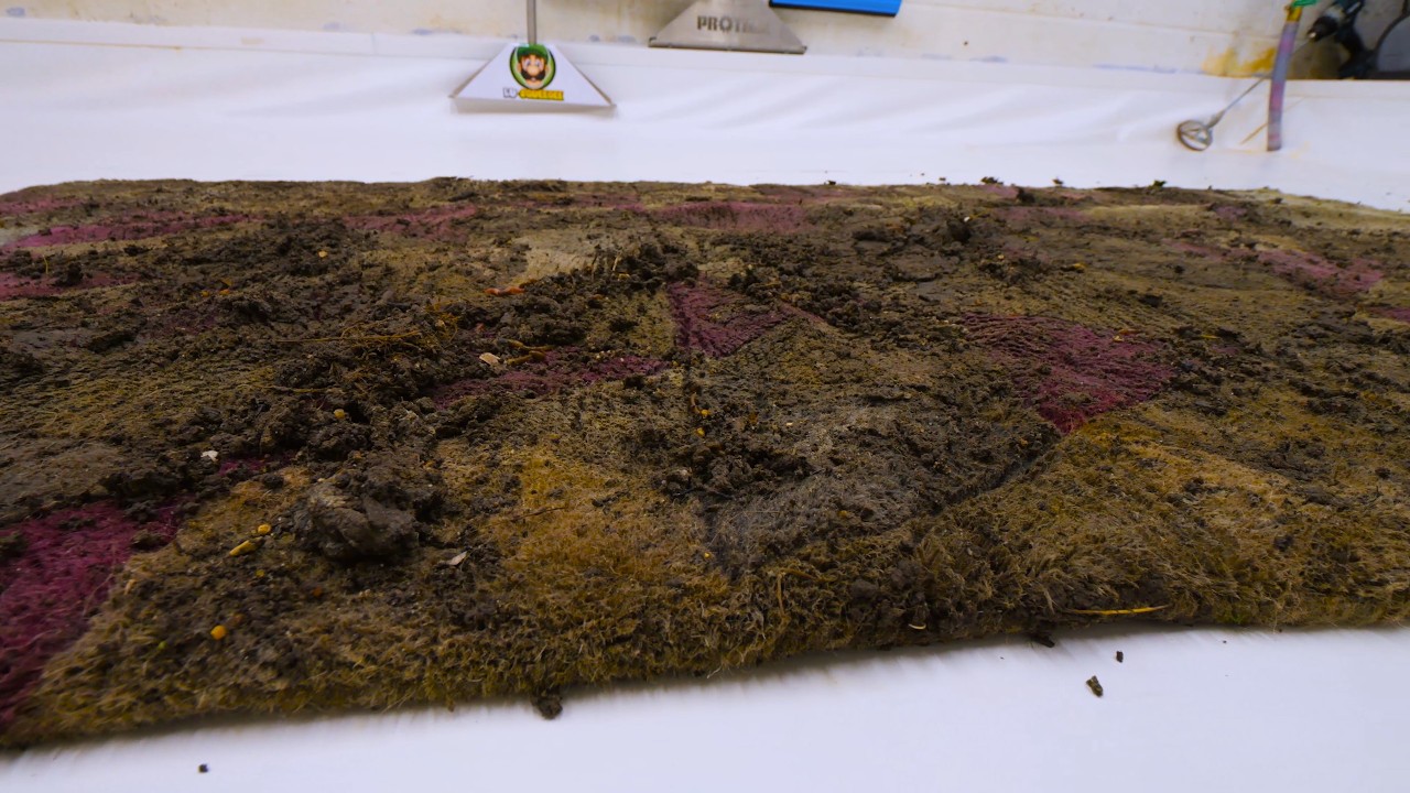 From Muddy Mess to Geometric Masterpiece