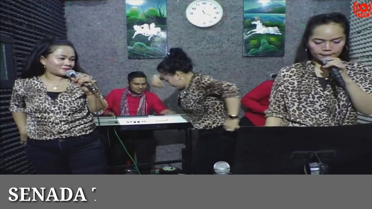 Senada Trio Terbaru || Pulungan Ni Ubat - Cipt.  Madsen Sembiring / Syair. Drs. Sadar Siahaan