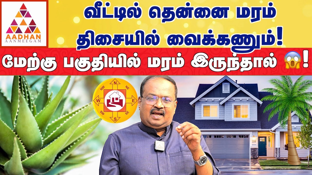 கற்றாழை செடி வீட்டில் இருப்பது நல்லதுதான்! | Vastu International Academy Founder dr RaviRamana