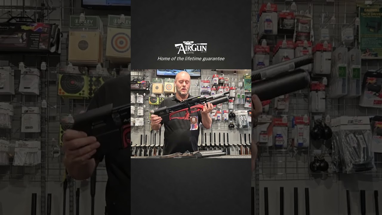 Обзор волка Альфа из Дейстейта