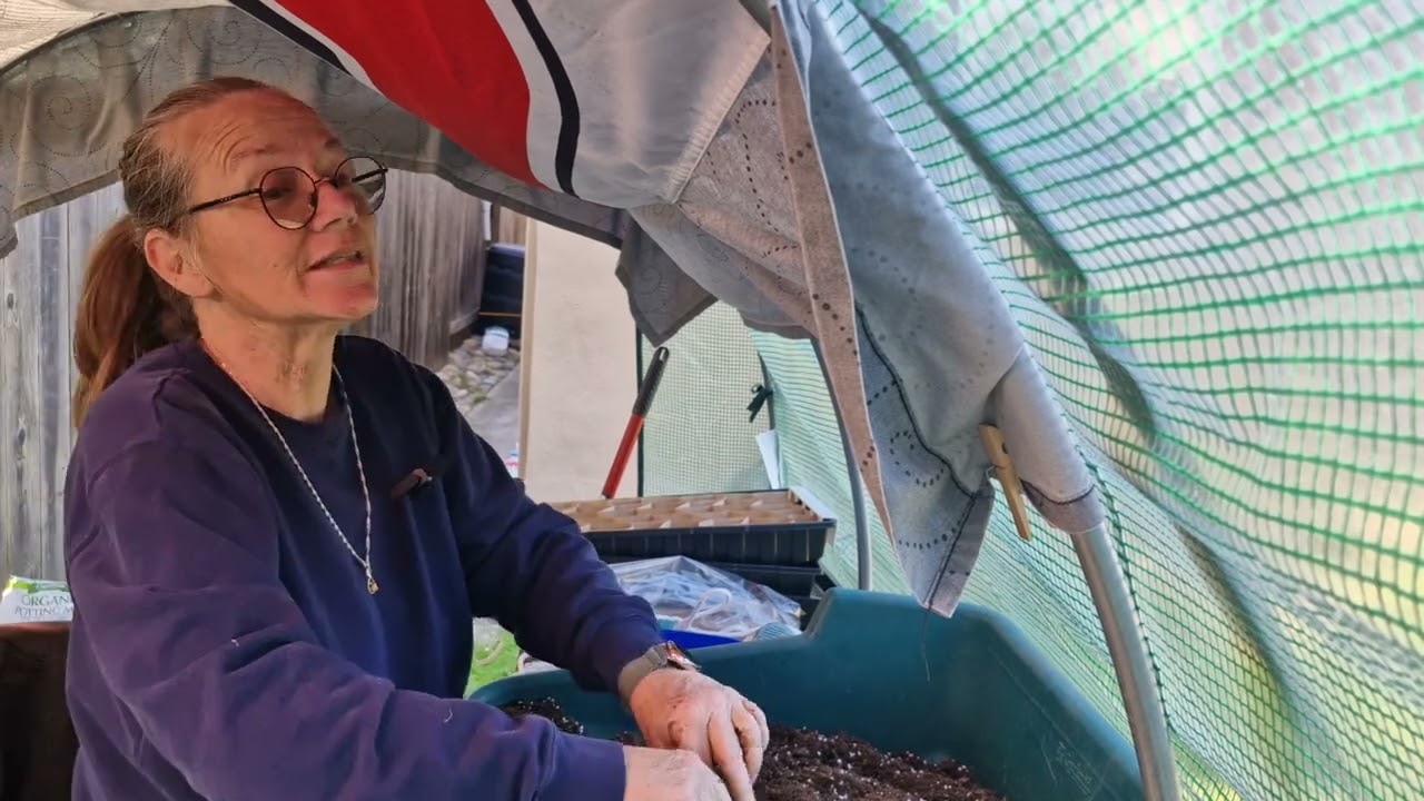 Hey Mom! Let's Chat While I Start Some Corn 🌽 Tomato 🍅 and Cucumber 🥒 Seeds.