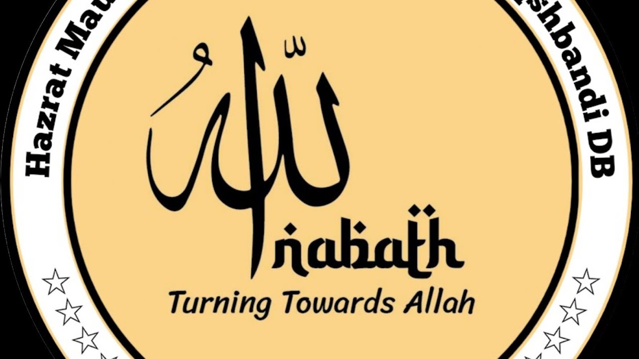 Insan Ki Taqat Himmat O Isteqamat | 14/09/2024 Majlis Bayan | Hazrath Ji Maulana Shafiuddin Nadvi db