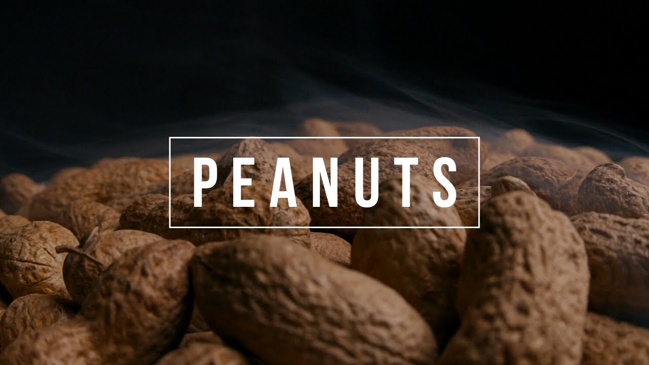 CACAHUETES Video Producto | Peanuts Spot Tabletop