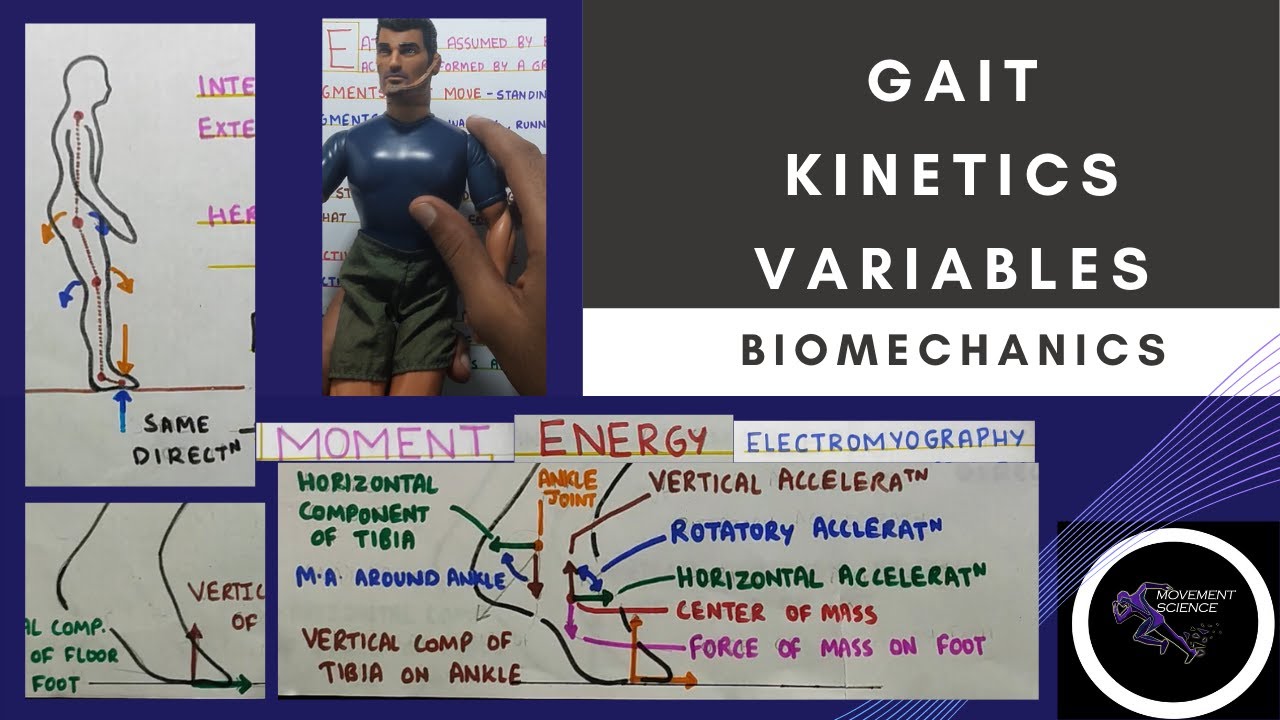 KINETICS VARIABLES  (Gait Biomechanics)Physiotherapy Tutorial