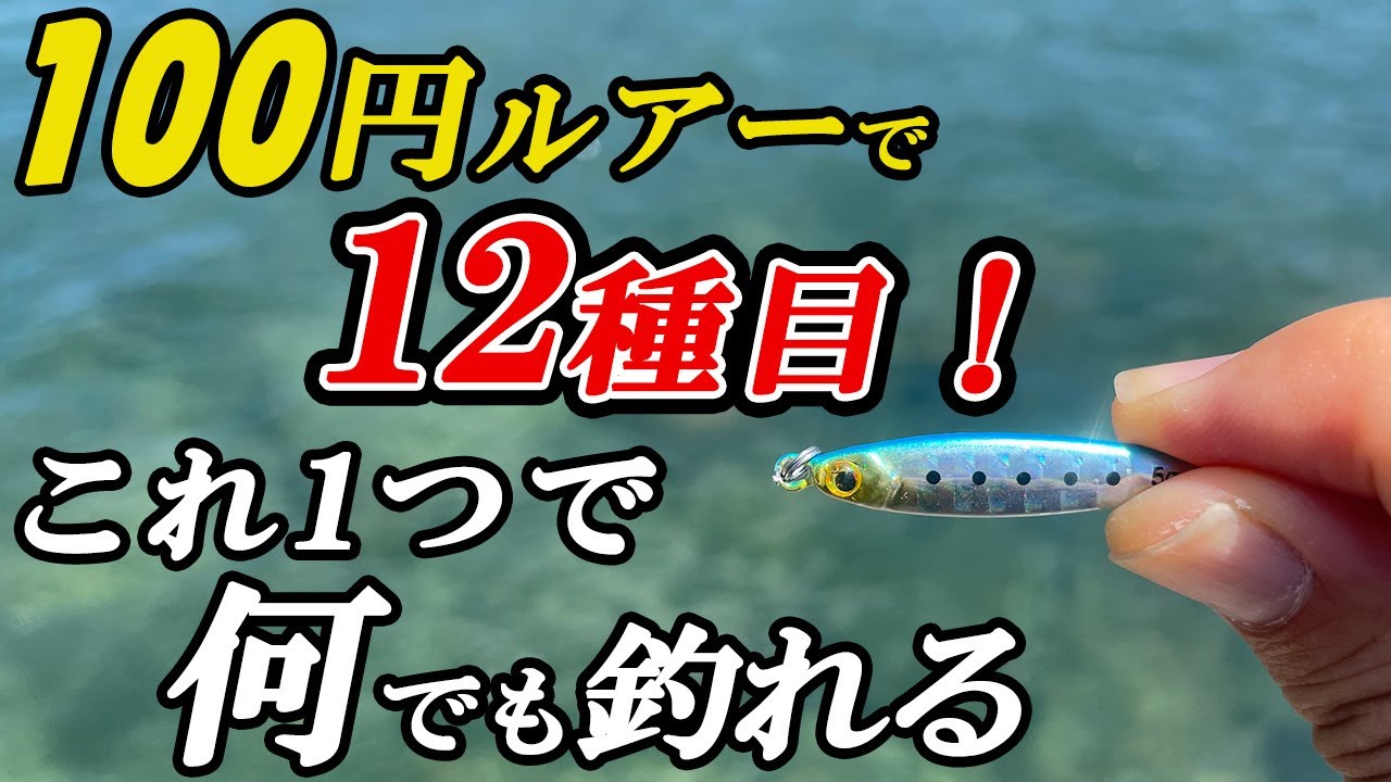 ルアー初心者でも簡単・ボウズ続きな方にはこの釣り方。ダイソージグを堤防で投げたら色々釣れすぎた...【ライトゲーム五目】