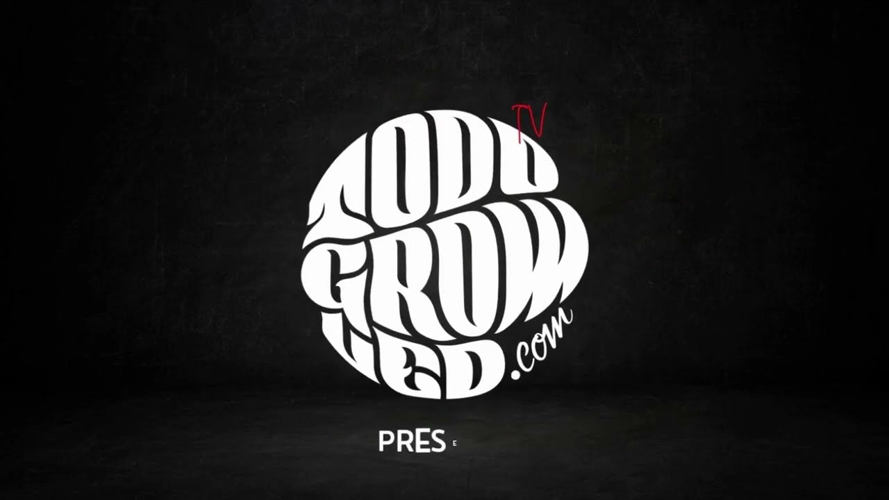 Red Legacy seguimiento Todogrowled