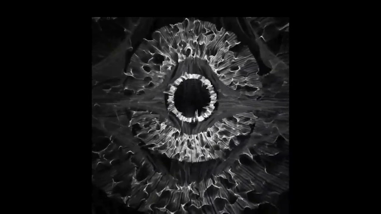 Track4/KCR/vision