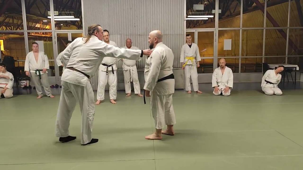 Training in Bujinkan Dojo Kamil Krzemiński Shihan 7 dan AYF 
