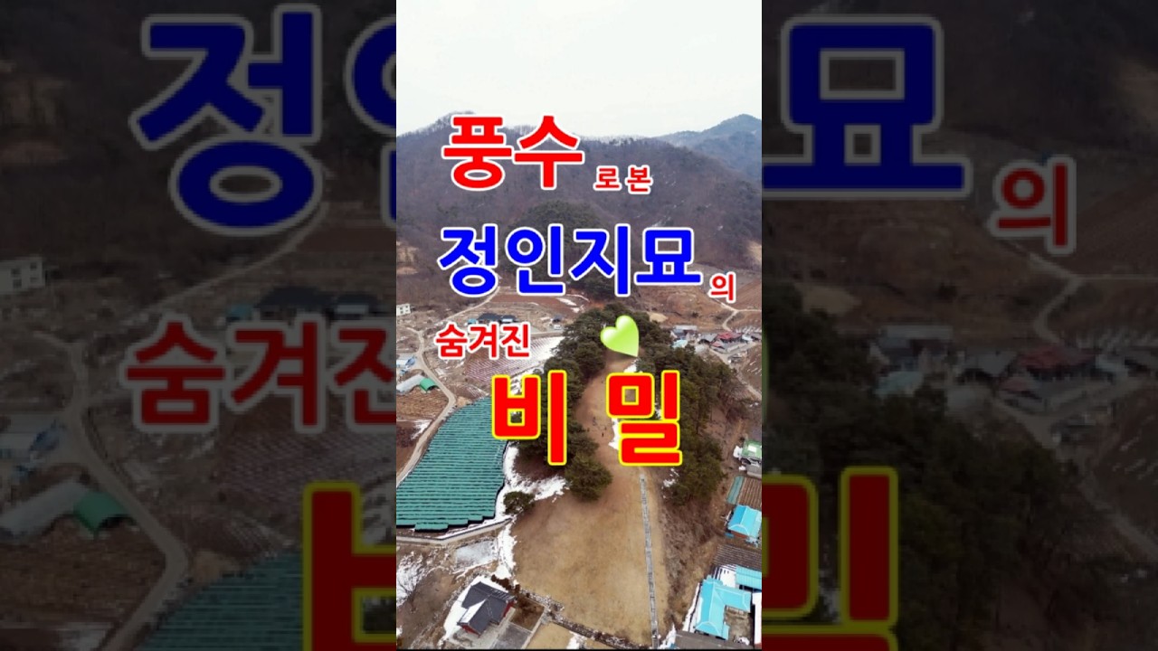 정인지 묘의 풍수적 위치...과연 후손은 번창했을까? #정인지묘 #월드풍수 #풍수명당 #지영학 #한결상정