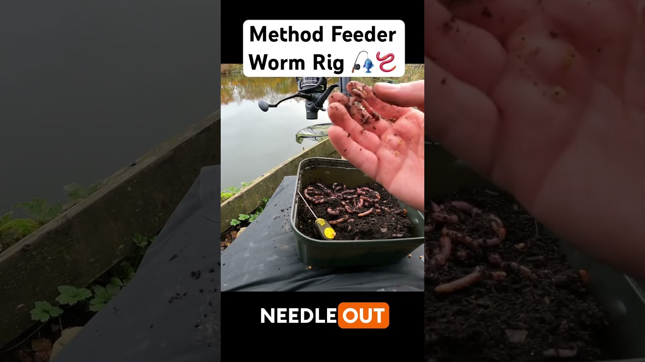 Method Feeder Worm Rig 🎣🪱 #feederfishing #methodfeeder #worms