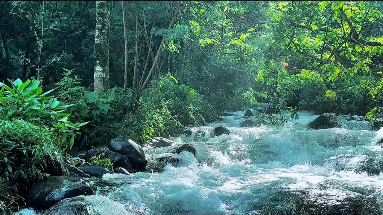 Clear River Stream Sounds in Nature for Deep Relaxation Sleep Meditation Anxiety Relief ASMR