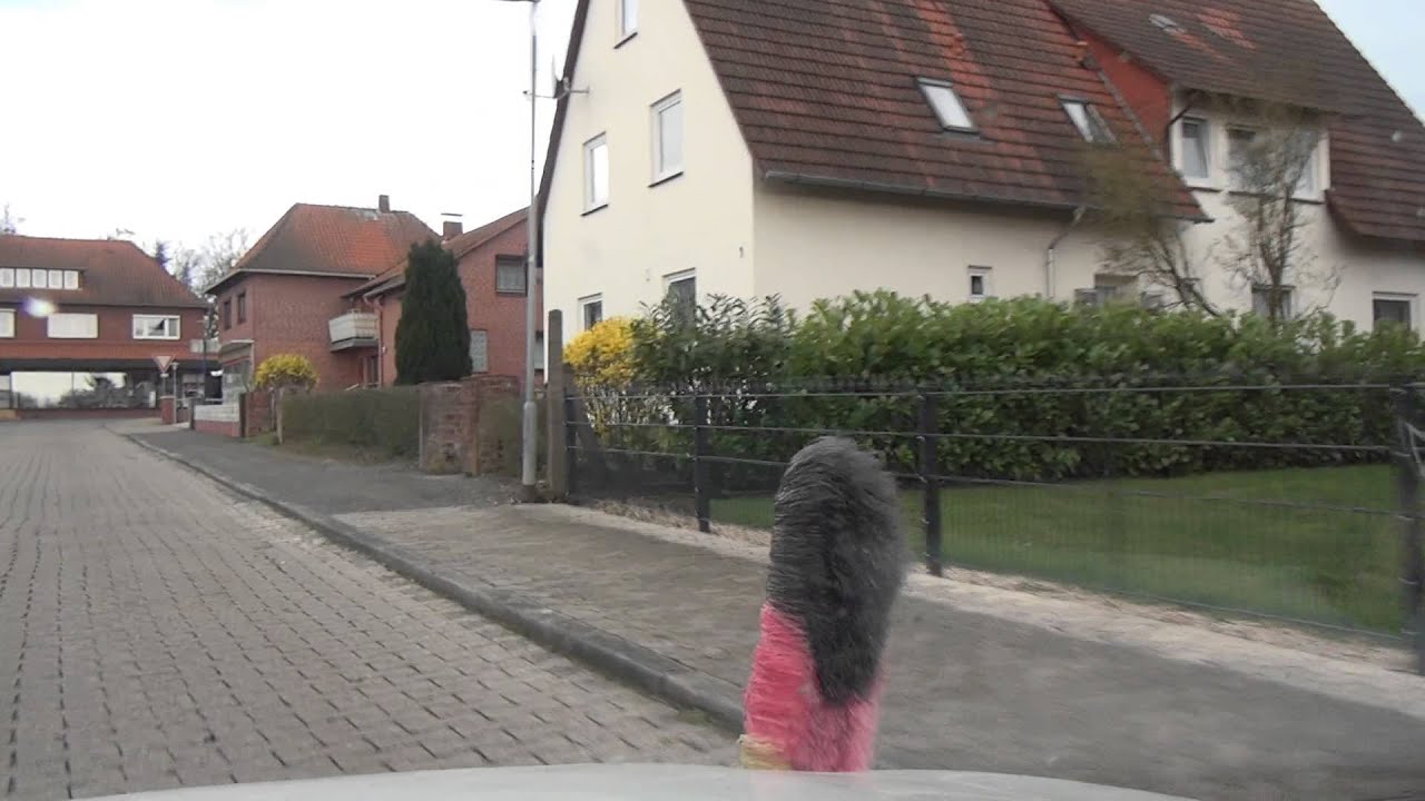 Gnarrenburg Kreis Rotenburg Wümme Niedersachsen BRD 2232014