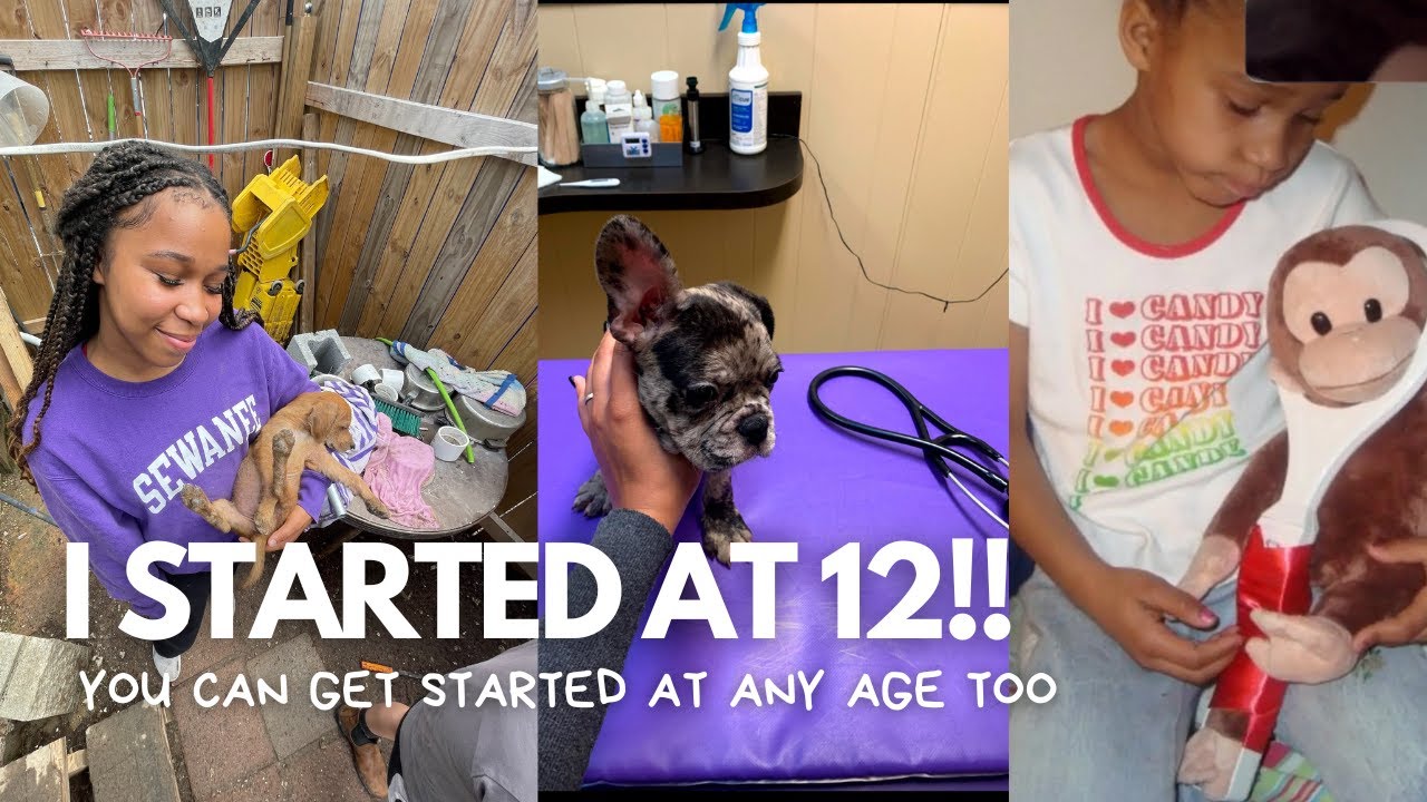 How to get animal career experience at ANY AGE