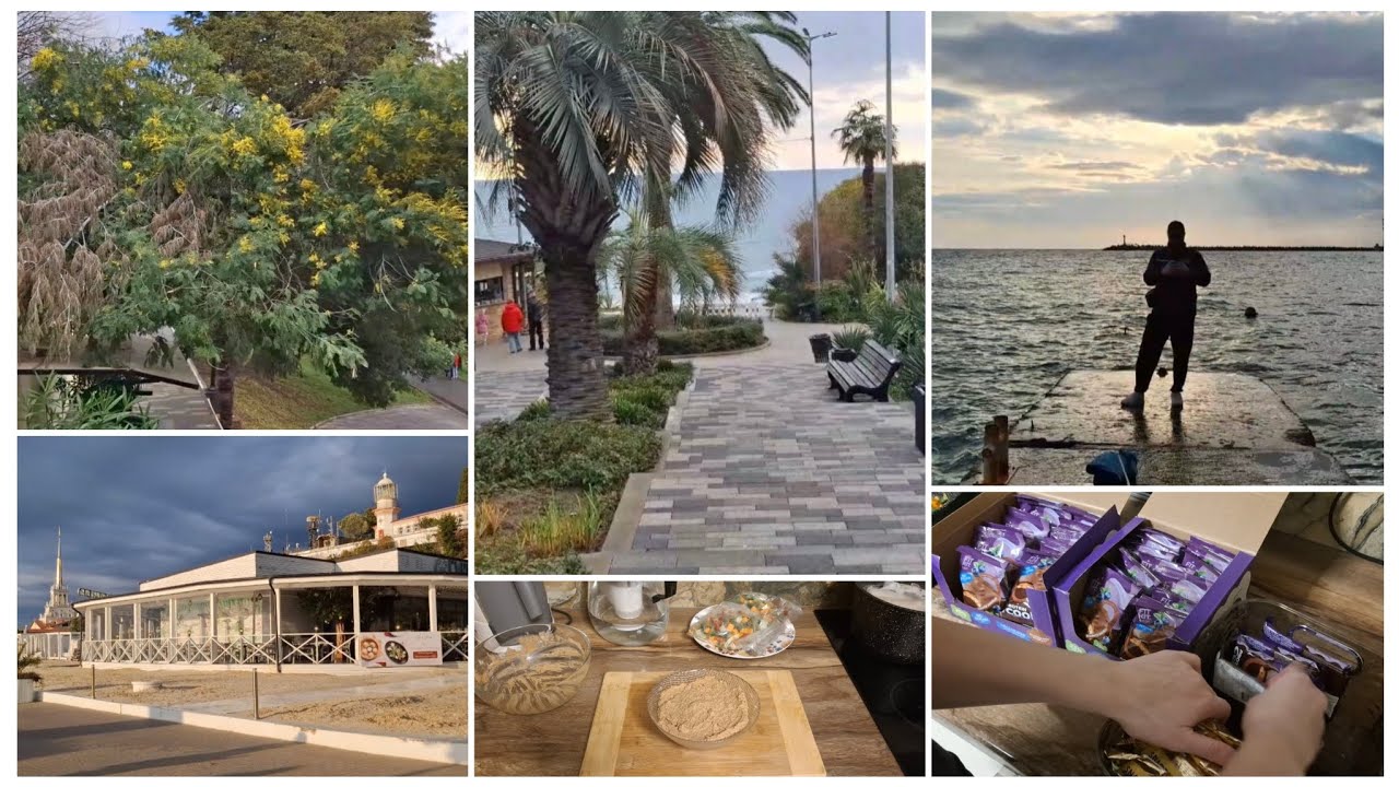 СКОРО ВЕСНА В СОЧИ/МИМОЗА ЦВЕТЕТ/ВСЕ ПРОДАДИМ И МОЖЕТ ХВАТИТ НА ЯХТУ/ГОТОВИМ ПАШТЕТ