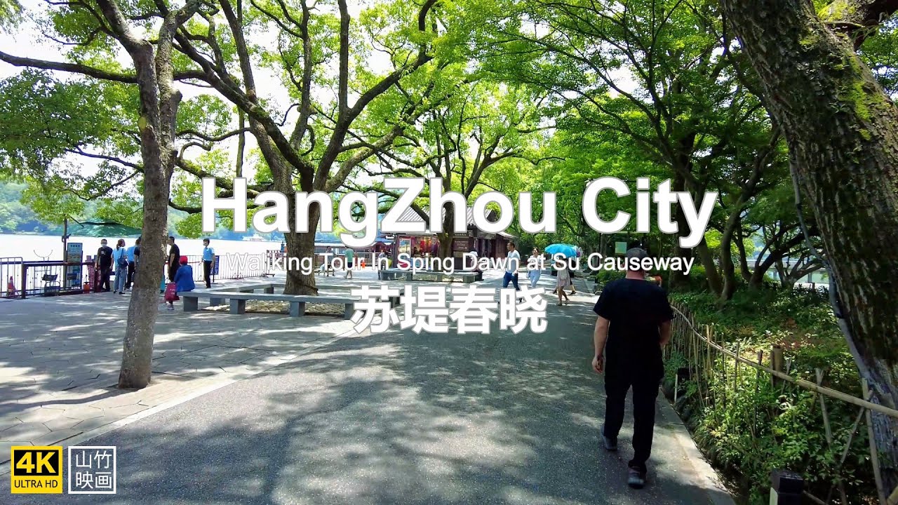 4K  杭州西湖风景区 西湖十景-苏堤春晓  Walking Tour in  Su Causeway, Hangzhou City, China