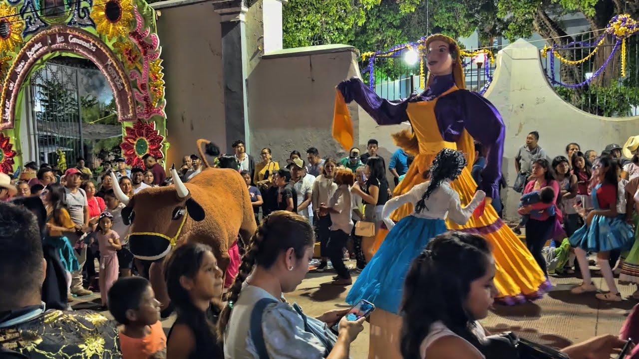 EL TORITO Y LA MONA BAILANDO EN LA FIRSTA MÁS GRANDE DE TLAPA GRO | EN HONOR AL SEÑOR DEL NICHO 2024