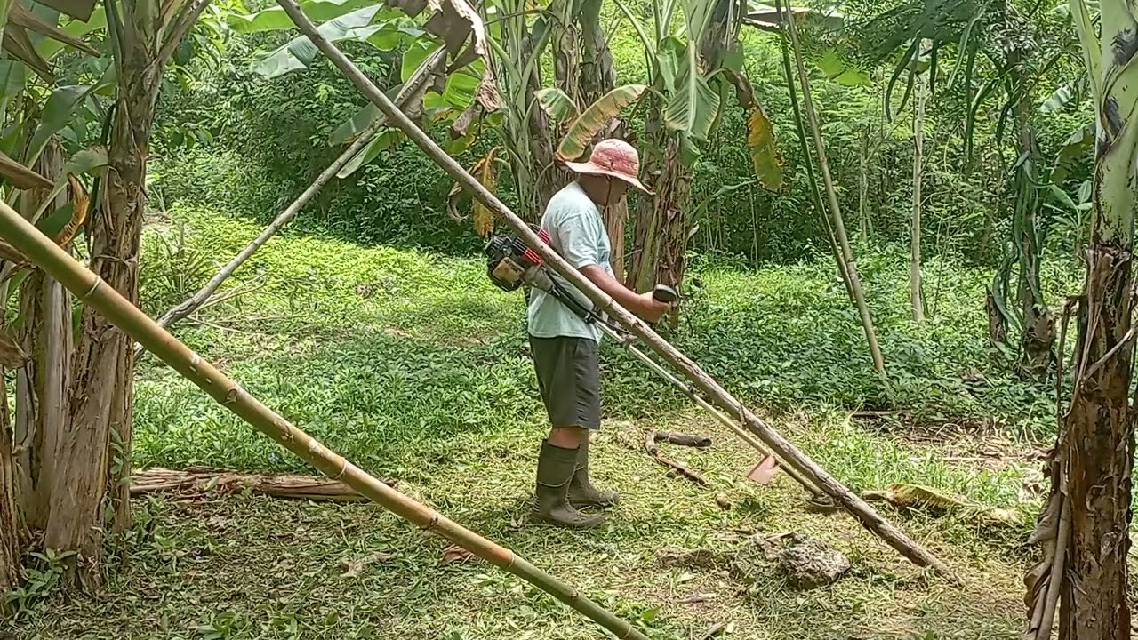 Mag cutting grass againEP213