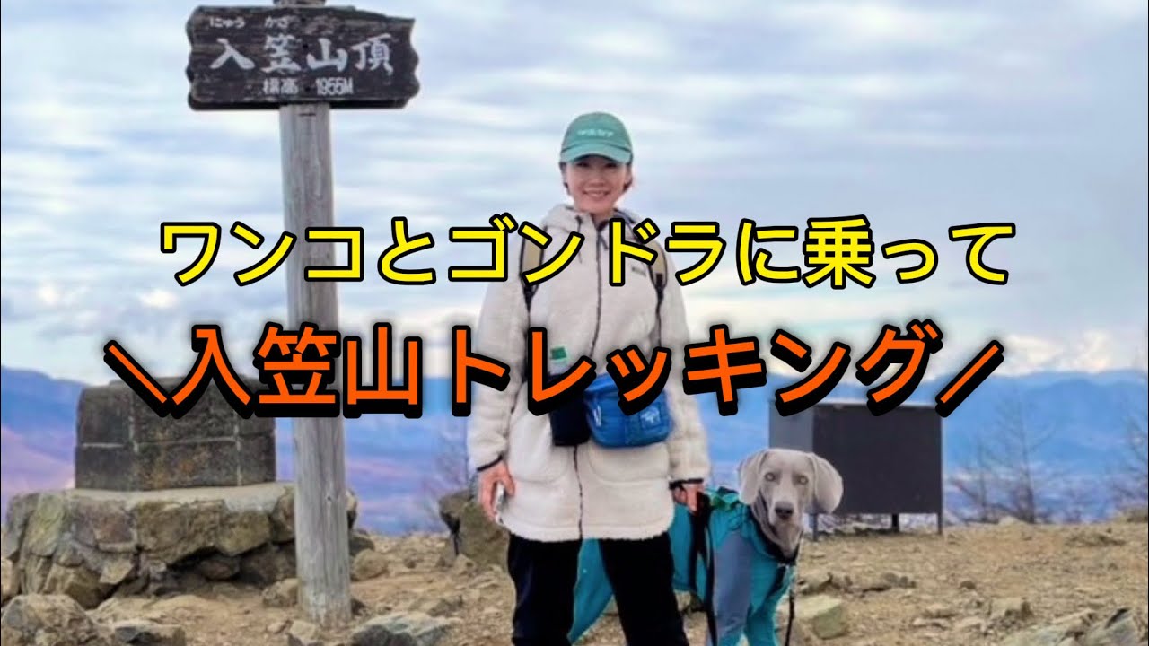 ワンコとゴンドラに乗って！入笠山頂をめざす