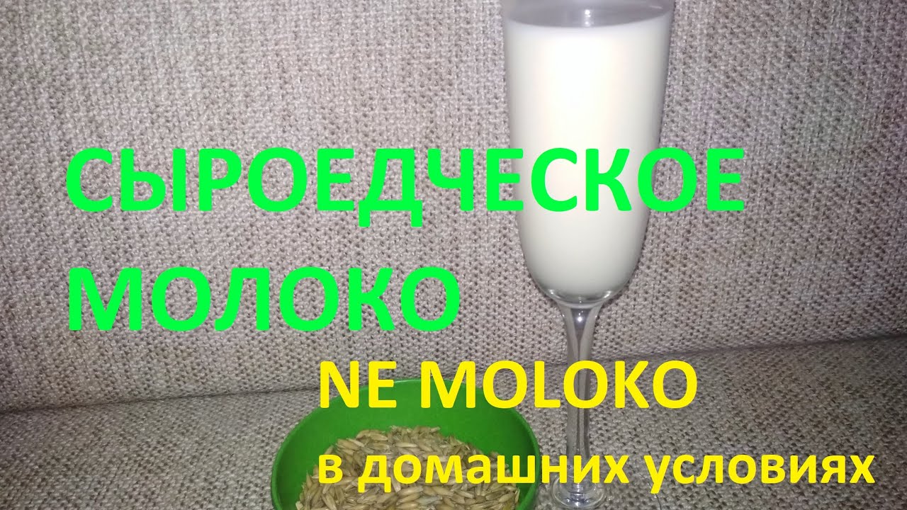 Сыроедческое молоко или NE MOLOKO в домашних условиях. Очень бюджетный рецепт.