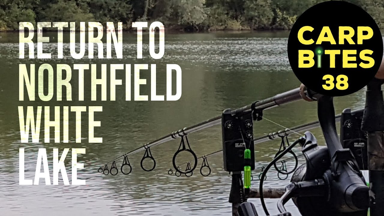 48hrs Carp Fishing at Ringwood Northfield White Lake