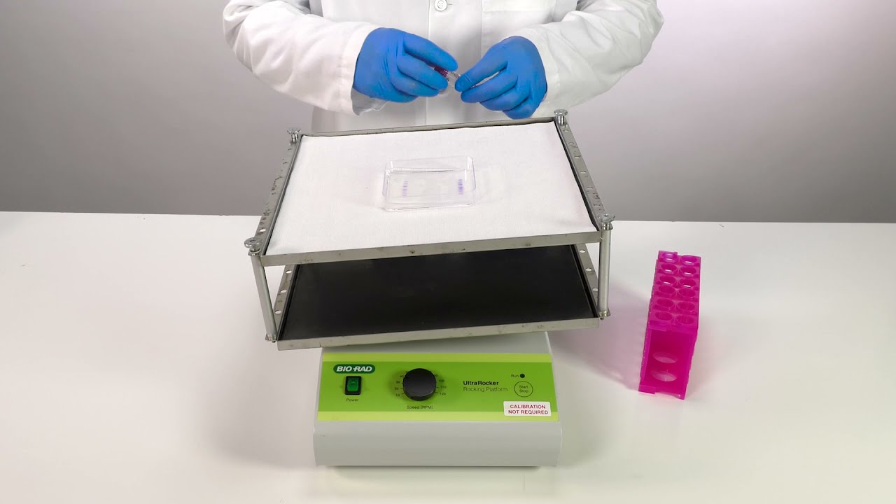 Quick Tips: How to Prepare EveryBlot Block Buffer for Western Blot Blocking and Antibody Incubation