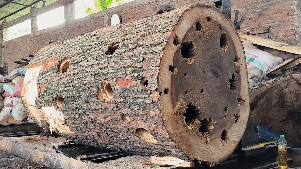 Real Sawmill Life – Efficiency Over Comfort