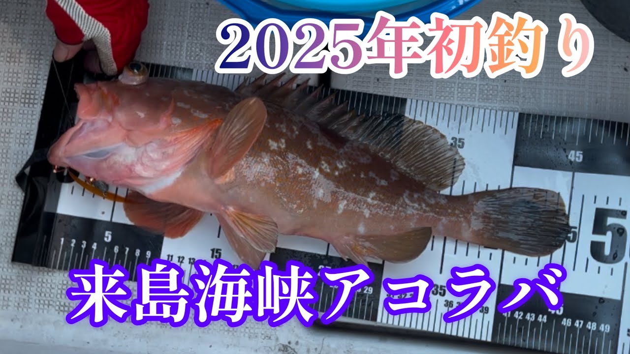 【アコラバ】初釣り楽しんで来ました♪果たして釣果はいかに…