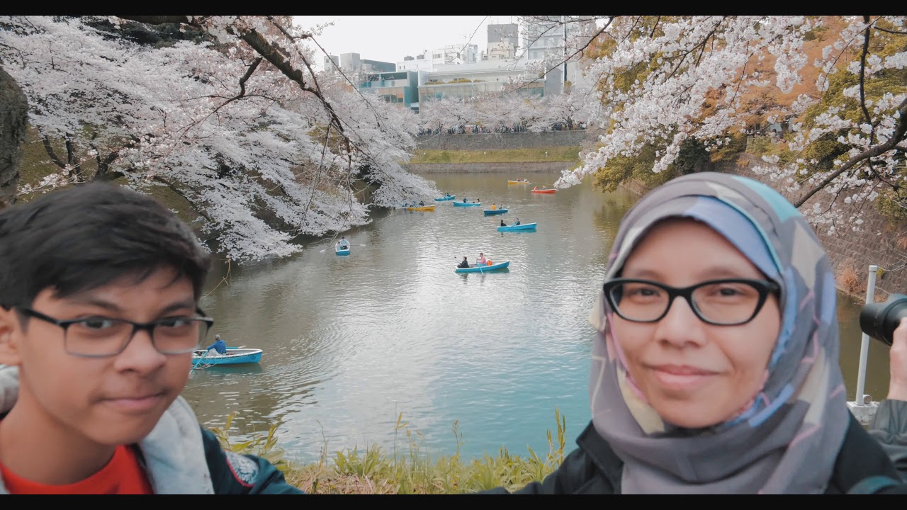 Japan | Cherry Blossom 2019 | Chidori ga fuchi, Tokyo (Cinematic)