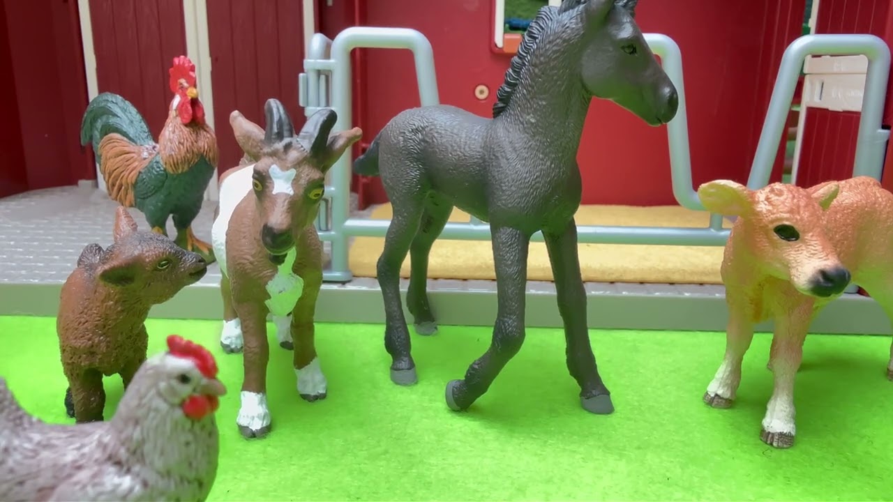 The Great Moo Mystery: Where Is Buttercup’s Moo?