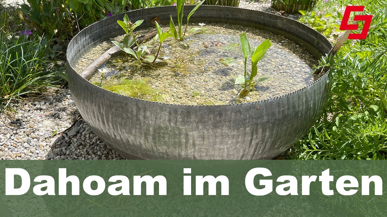 Alles für den kleinen Garten, Wasser, Wildsträucher, Blumenwiese im Topf, schöne Hochzeitstischdeko