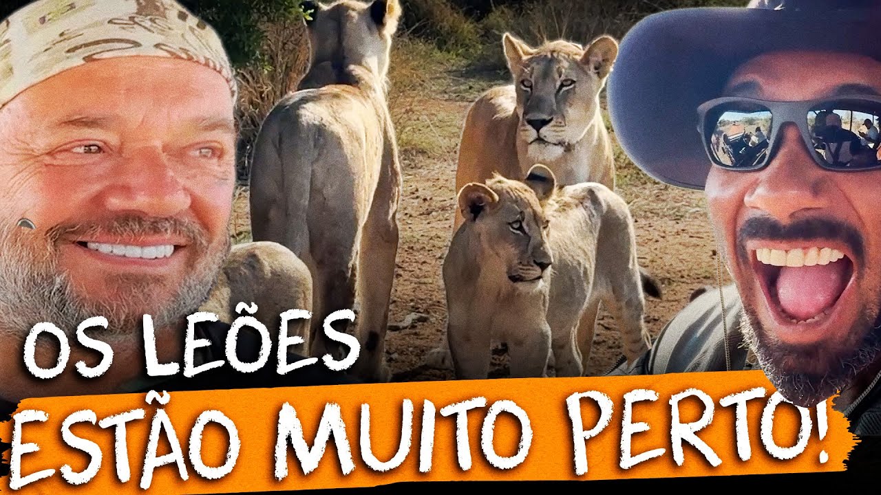 🐆 O BALESTRIN NÃO ACREDITOU NO QUE VIU! Safari com predadores selvagens 😳