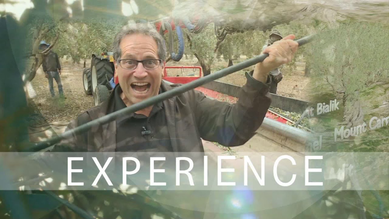 Tel Rehov's Biblical Treasure—Episode 37—Roots & Reflections with Barry Segal