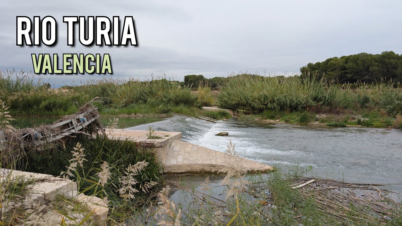 Río Turia (Valencia): Susurro de Agua y Naturaleza 