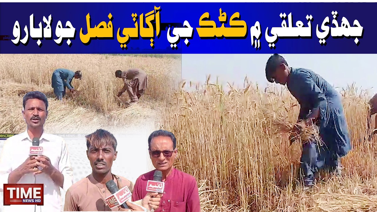 Jhude me Kanrk je Aagate Fasal jo Labaro! | Time News HD