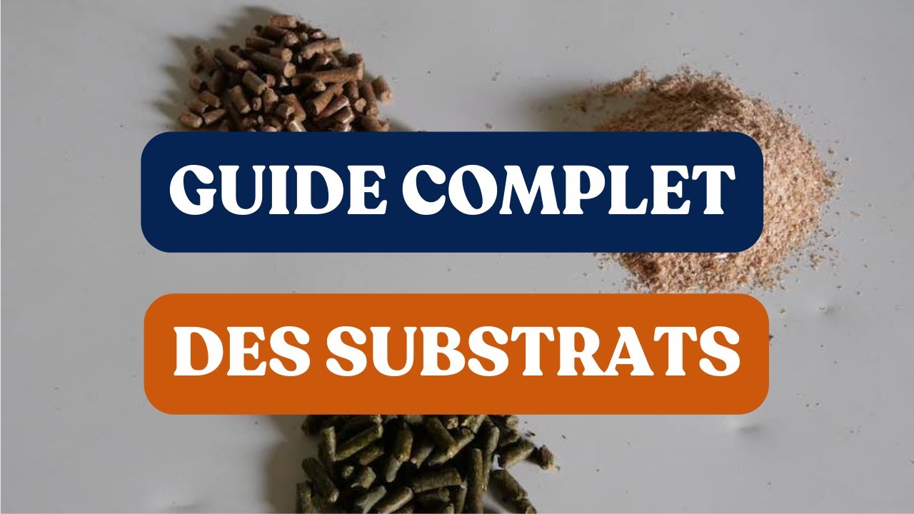 GUIDE COMPLET des SUBSTRATS pour cultiver des champignons