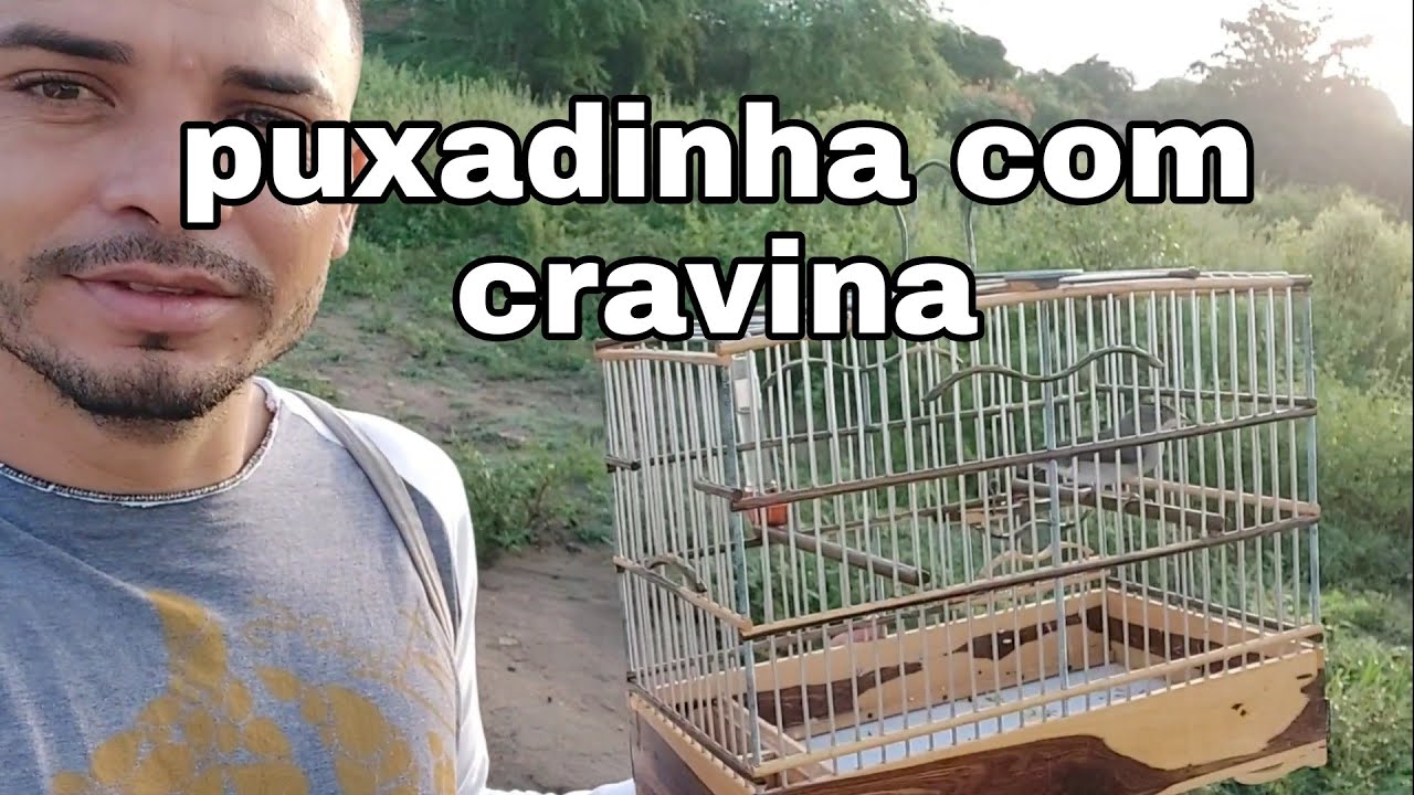 puxadinha com cravina ela chegou fria e saiu assim