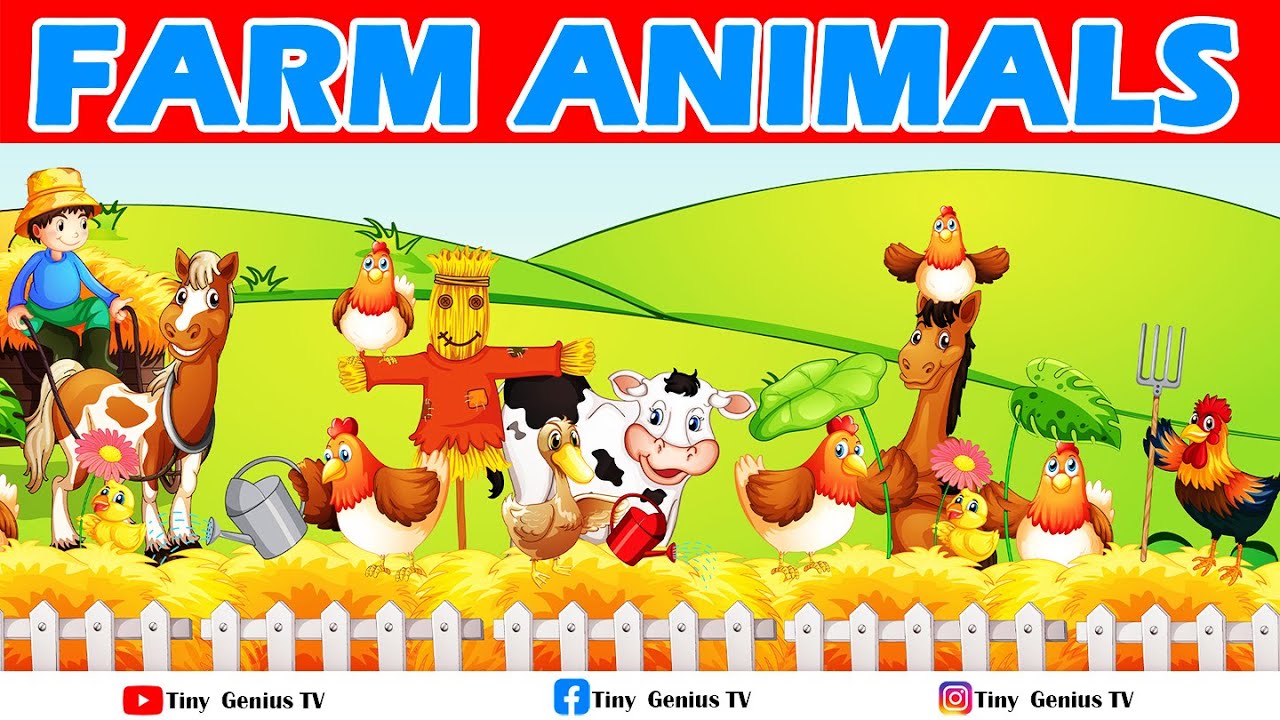 Farmyard Friends: Explore the World of Farm Animals