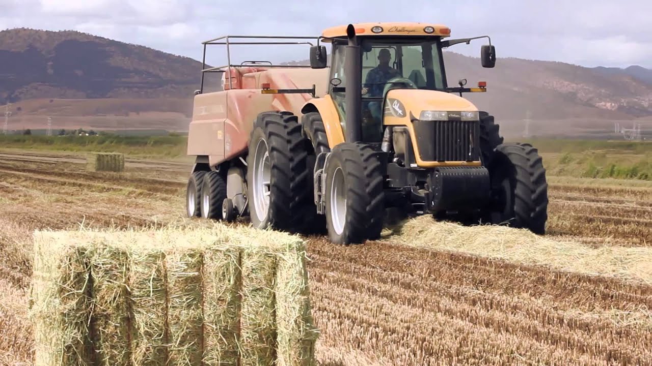 Baling rice straw after harvest