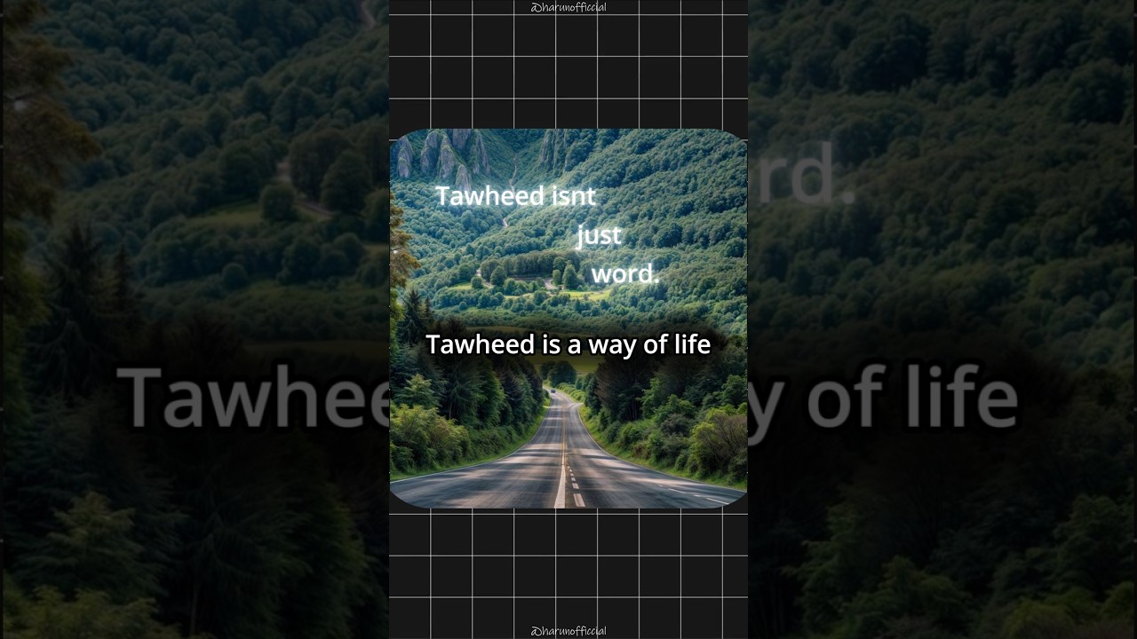 Tawheed? 🤔 #tawheed #reminder #islamicstatus #islam