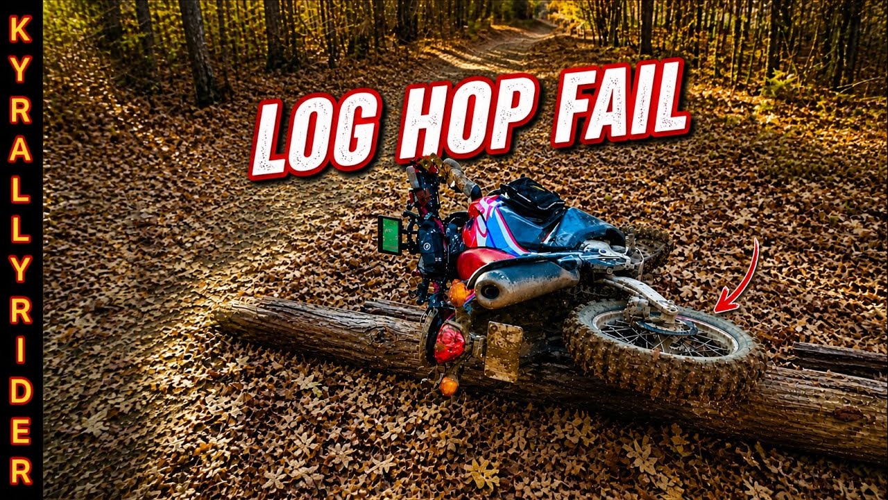 Land Between the Lakes FSR 308 - Honda CRF300L Rally