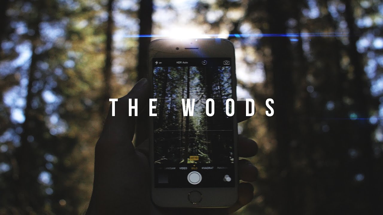 The Woods