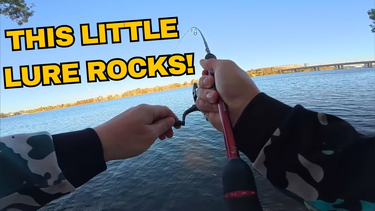 Первая часть рыбалки на удочку Khamsin Tiny 40DR | Рыбалка на реке Суон, Перт.