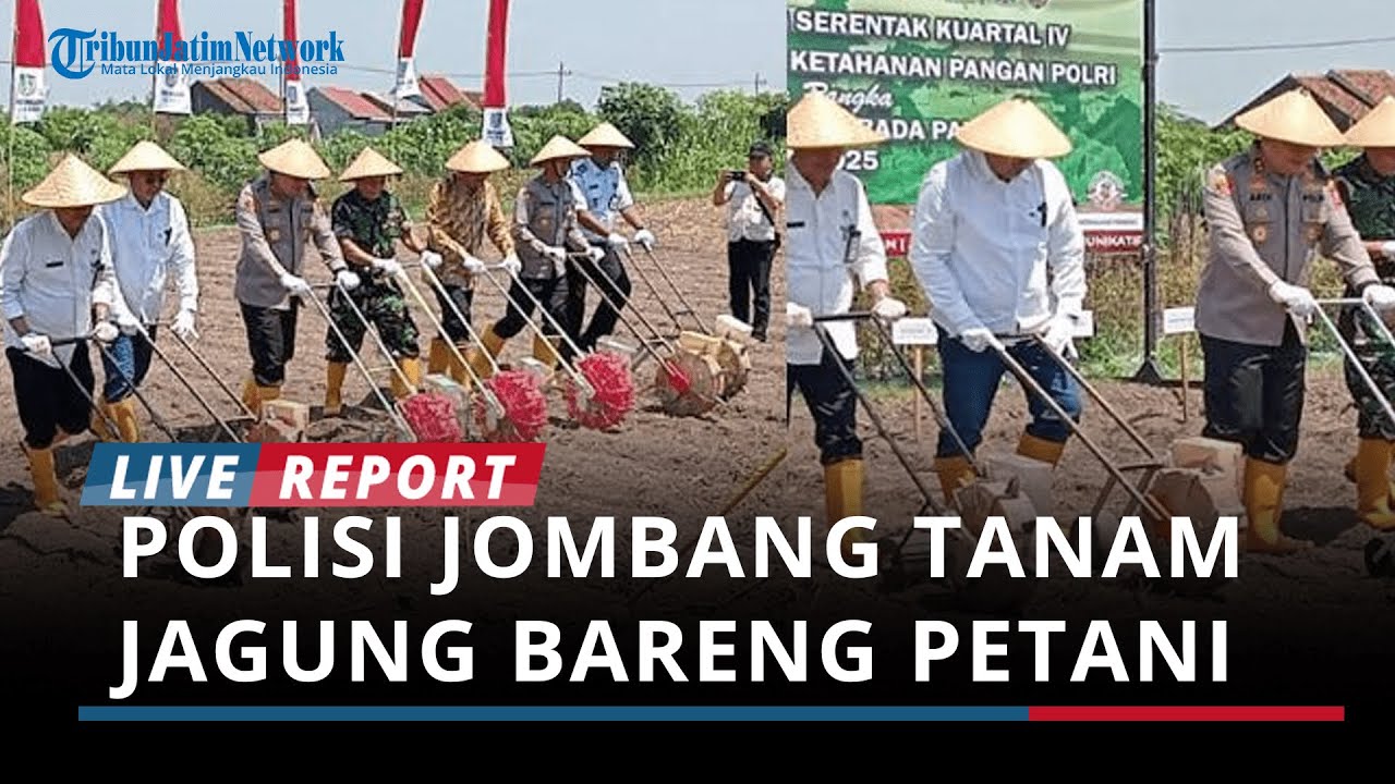 Polres Jombang Turun Sawah, Tanam Jagung Bareng Petani Demi Ketahanan Pangan Nasional