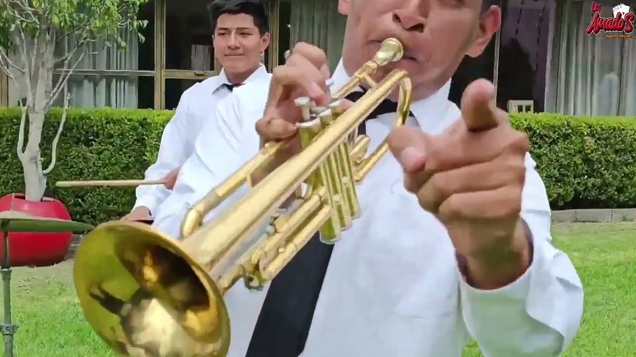 Los Amados - Es El Amor
