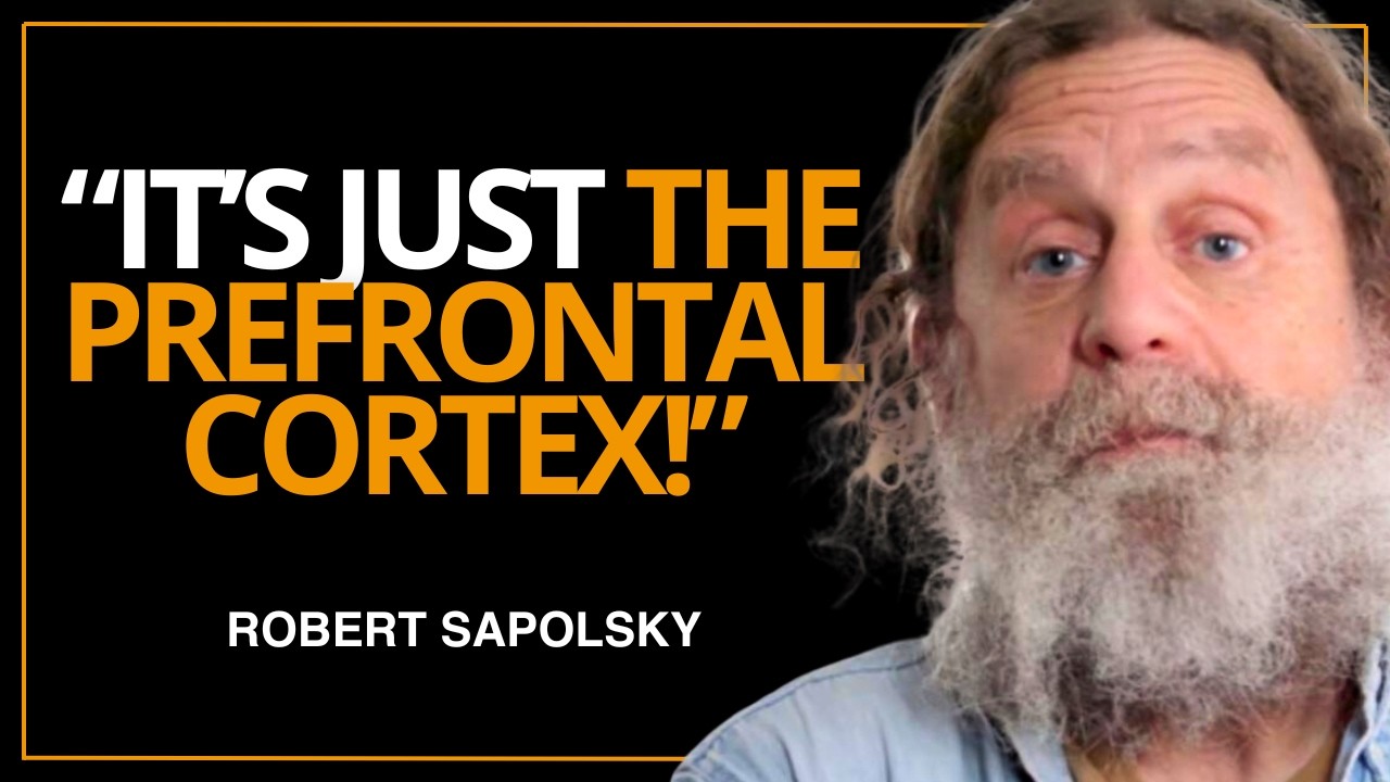 Neuroscientist: Free Will Is An Illusion | Robert Sapolsky