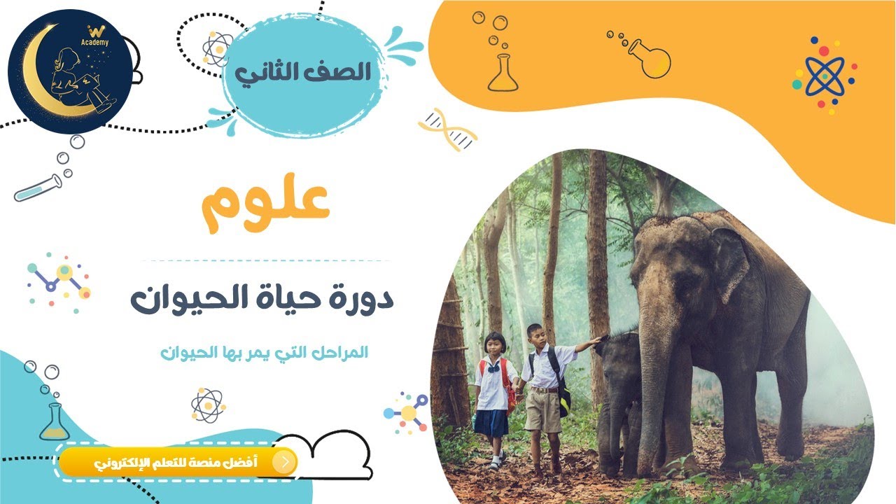 دورة حياة الحيوان - المراحل التي يمر بها الحيوان - توضيح دورة حياة الحيوانات بالصور - علوم صف ثاني