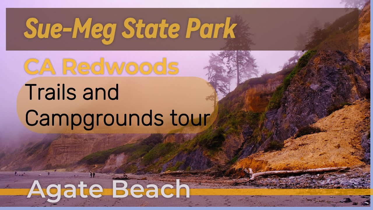 Sue-Meg State Park in the California Redwoods. take a look at the trails, campgrounds, and beaches.