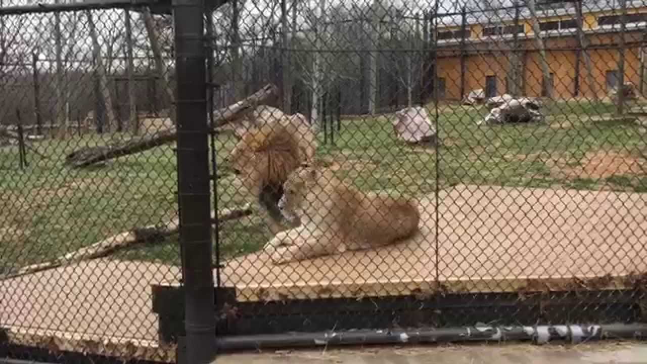 Knoxville Zoo 2015