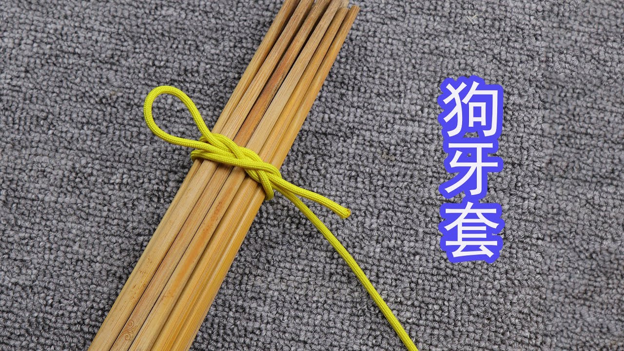 分享一种非常古老的快速捆绑绳结“狗牙套”，在生活中被广泛使用